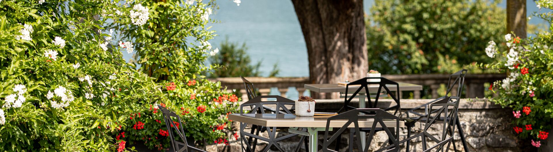 [Translate to English:]